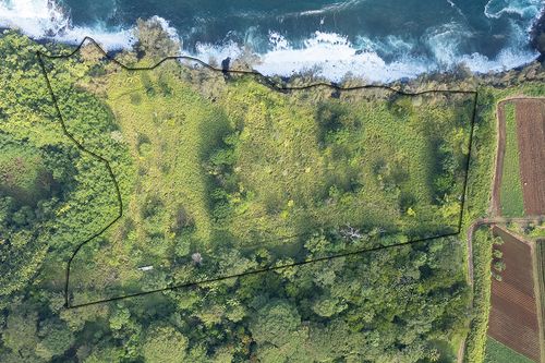 28-110 Kulaimano Homestead Rd, PEPEEKEO, HI, 96783 | Card Image