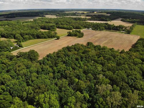 000 Raven Rd, Farina, IL, 62838 | Card Image