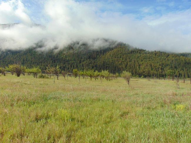 27235 Lazy Springs Rd, Home with 0 bedrooms, 0 bathrooms and null parking in Clinton MT | Image 14