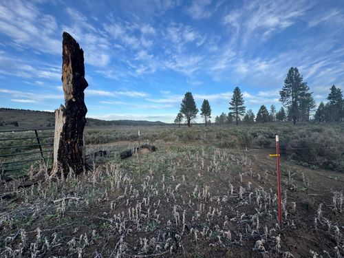 1-0 Mule Deer Dr, Chiloquin, OR, 97624 | Card Image