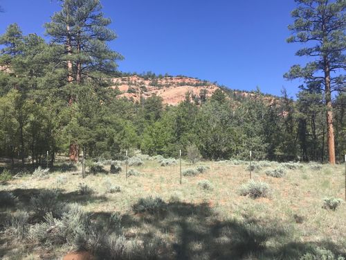 Lot 33 Aspen Loop, Ramah, NM, 87321 | Card Image