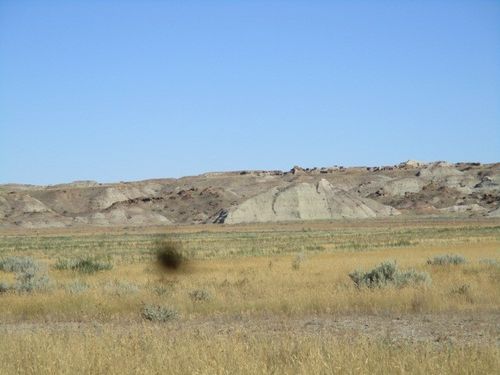 3-2000 River Rd, Havre, MT, 59501 | Card Image