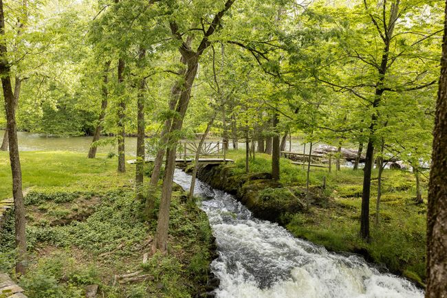 View of community featuring a forest view | Image 33