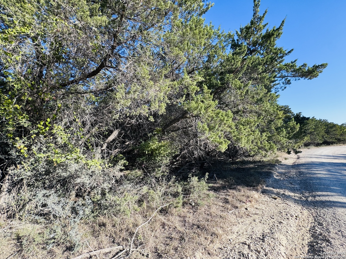 Land in Bandera 3