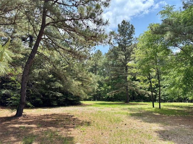 7481 County Road 232, Home with 0 bedrooms, 0 bathrooms and null parking in Richards TX | Image 6