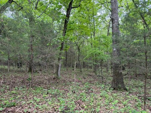 26 Ridge Rd, Hardy, AR, 72542 | Card Image