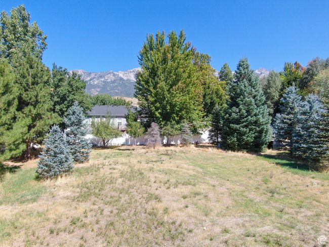View of yard featuring a mountain view | Image 13