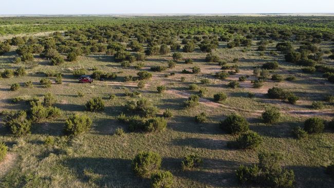 3609 Fm 1086, Home with 0 bedrooms, 0 bathrooms and null parking in Ovalo TX | Image 33