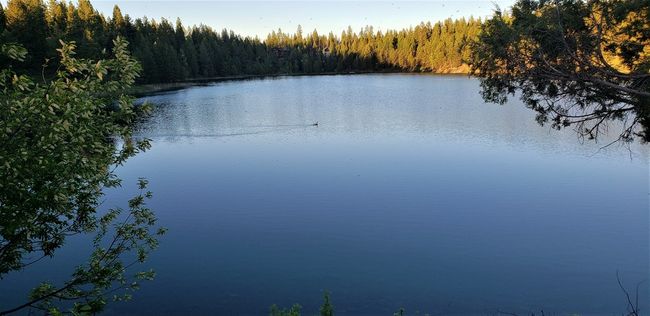 488 Emerald Lake Loop, Home with 0 bedrooms, 0 bathrooms and null parking in Seeley Lake MT | Image 5