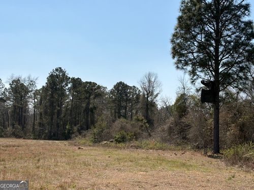 461 Currington Rd, Mauk, GA, 31058 | Card Image