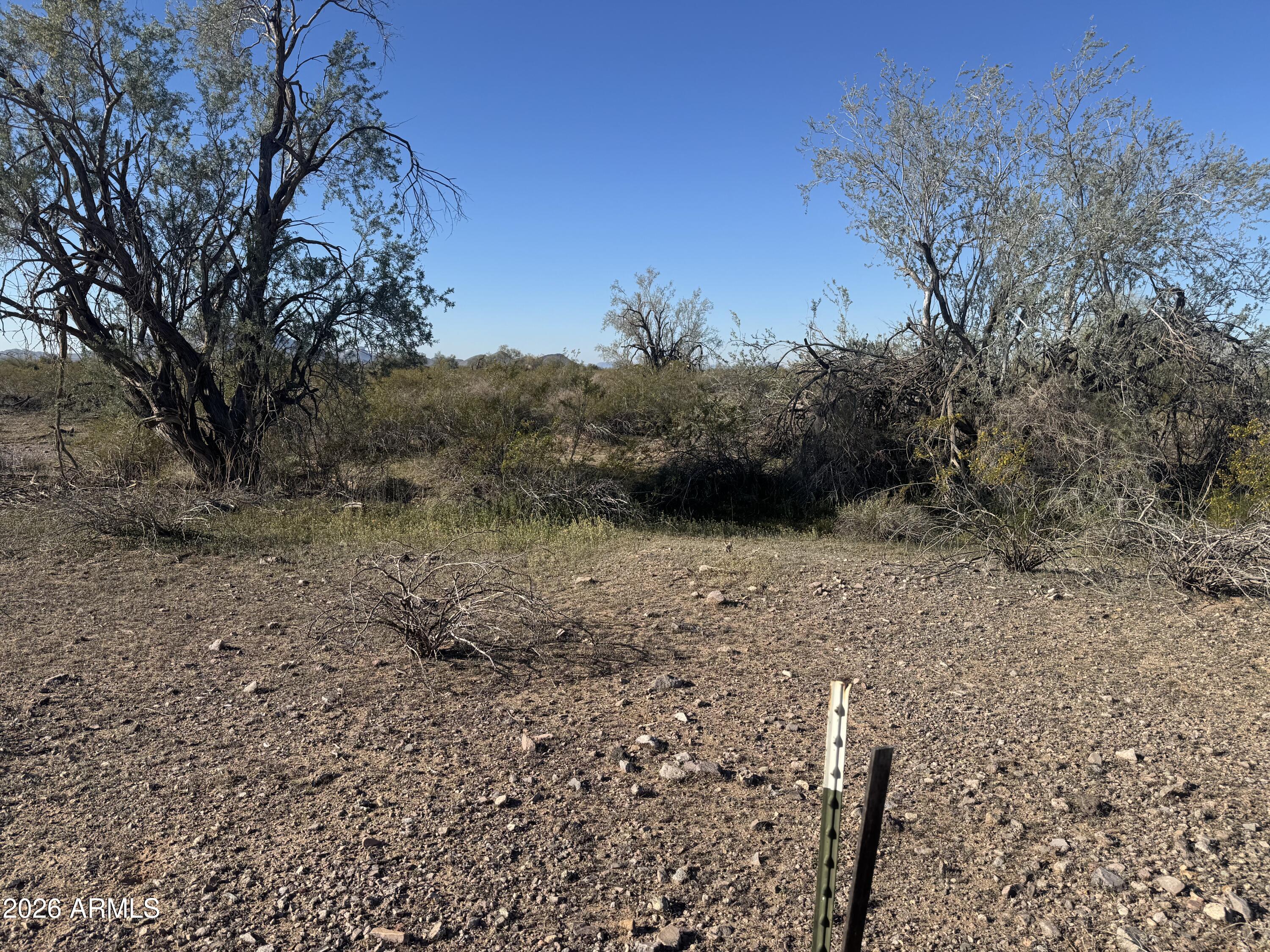 Land in Tonopah 5