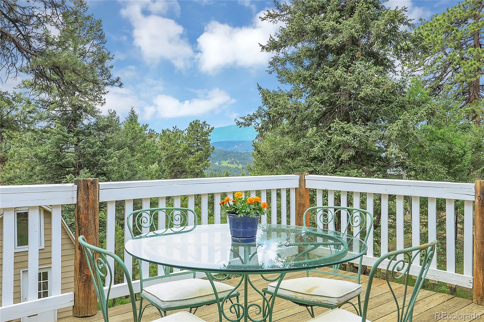 Edelweiss Cir, Evergreen, CO 80439