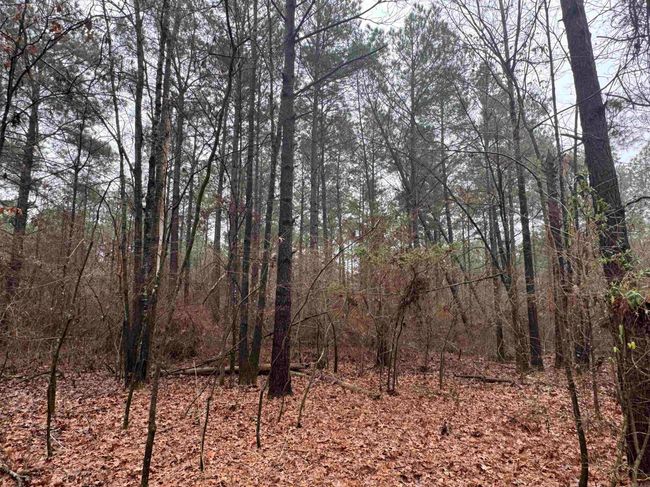 000 Ashley Road 912, Home with 0 bedrooms, 0 bathrooms and null parking in Hamburg AR | Image 20