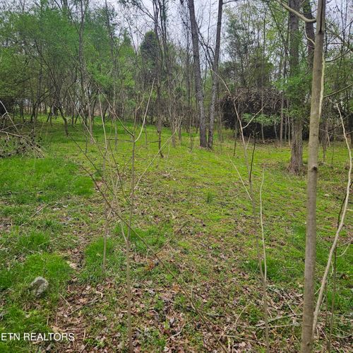 1919 Chelaque Way E, Mooresburg, TN, 37811-2669 | Card Image