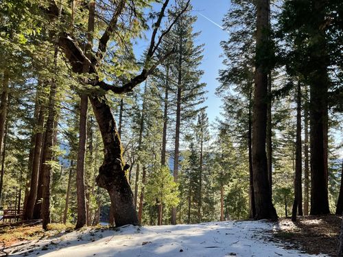 5186 Meko Dr, Camp Connell, CA, 95223-9498 | Card Image