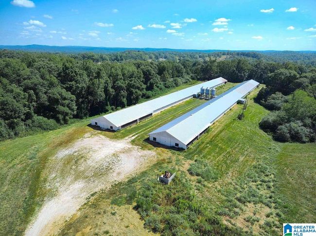 1690 Mount Moriah Rd, House other with 3 bedrooms, 2 bathrooms and null parking in Delta AL | Image 22