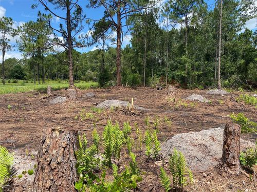 2101 W Frostproof Rd, FROSTPROOF, FL, 33843-9426 | Card Image