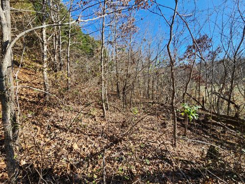 000 Mclean Rd, Ozark, MO, 65721 | Card Image