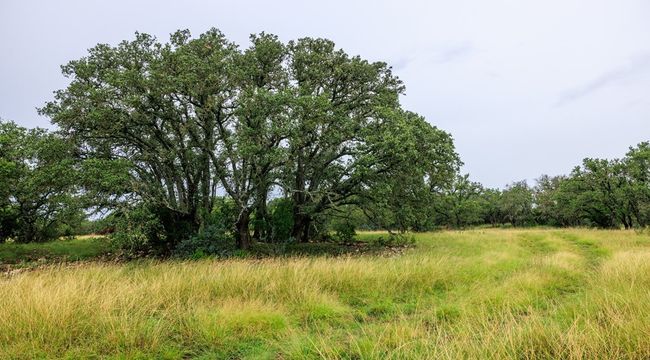 45 - 3277 Link Rd, Home with 0 bedrooms, 0 bathrooms and null parking in Doss TX | Image 10