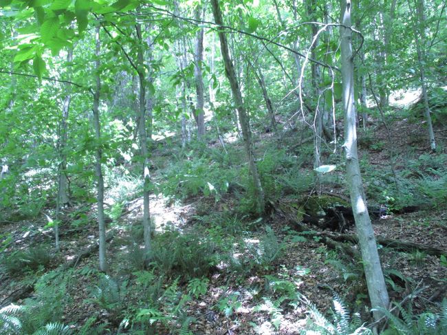 0 Vt Route 12 A, Home with 0 bedrooms, 0 bathrooms and null parking in Randolph VT | Image 9