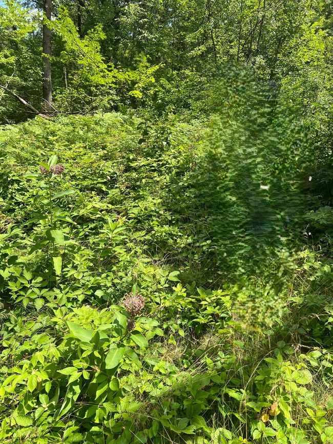 Lt0 Airport Rd, Home with 0 bedrooms, 0 bathrooms and null parking in Shawano WI | Image 7