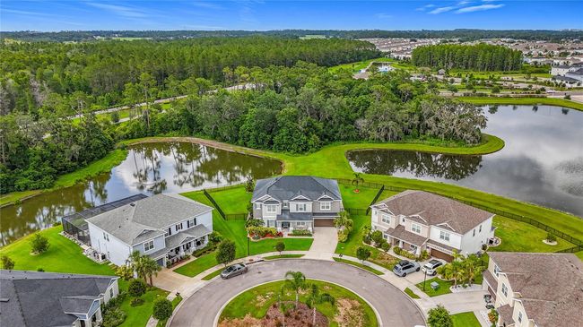33668 Willow Point Ct, House other with 5 bedrooms, 4 bathrooms and null parking in WESLEY CHAPEL FL | Image 83