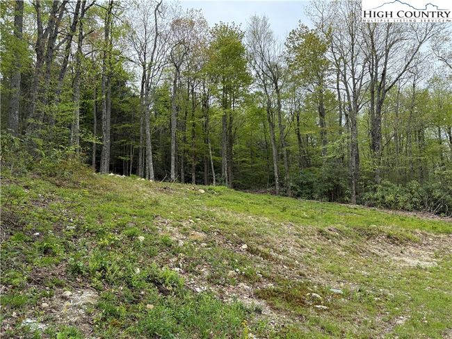 287 Cougar Run, Home with 0 bedrooms, 0 bathrooms and null parking in Linville NC | Image 6