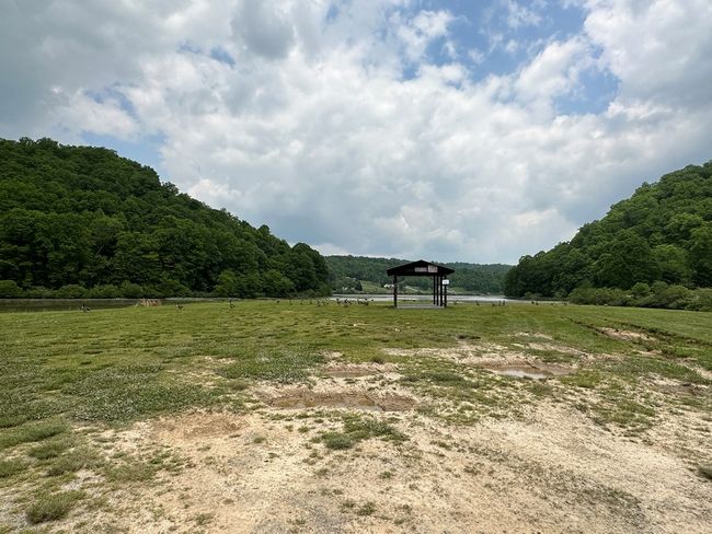 14224 Mud Fork Road, Home with 0 bedrooms, 0 bathrooms and null parking in Falls Mills VA | Image 7
