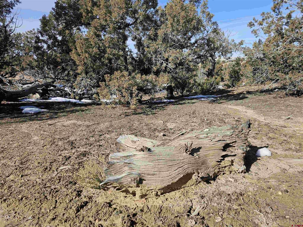 Land in Farmington 4