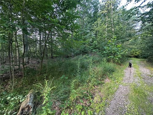 15300 Fedeli Ln, Novelty, OH, 44072-8804 | Card Image