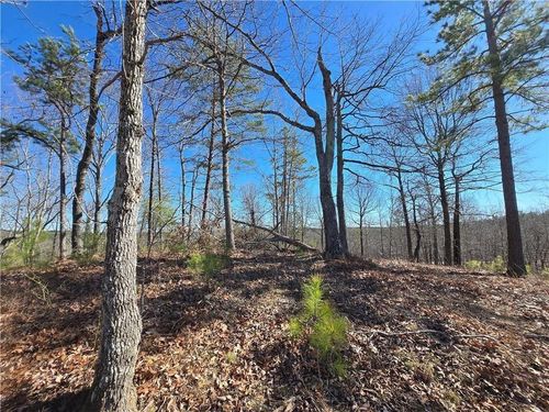 0 Brushy Mountain Rd, rockmart, GA, 30153 | Card Image