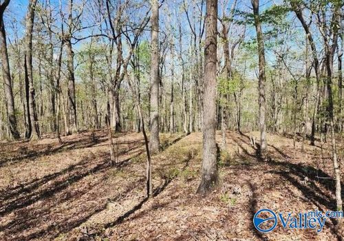 59 acres Horse Cove Rd, Gurley, AL, 35748 | Card Image