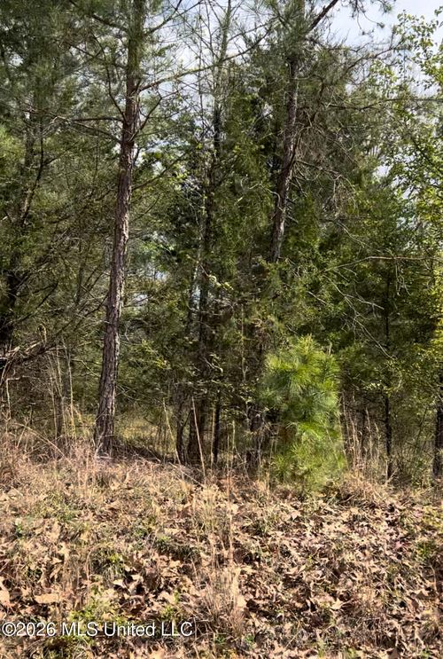 Lot 7 Matthews Dr, Byhalia, MS, 38611 | Card Image