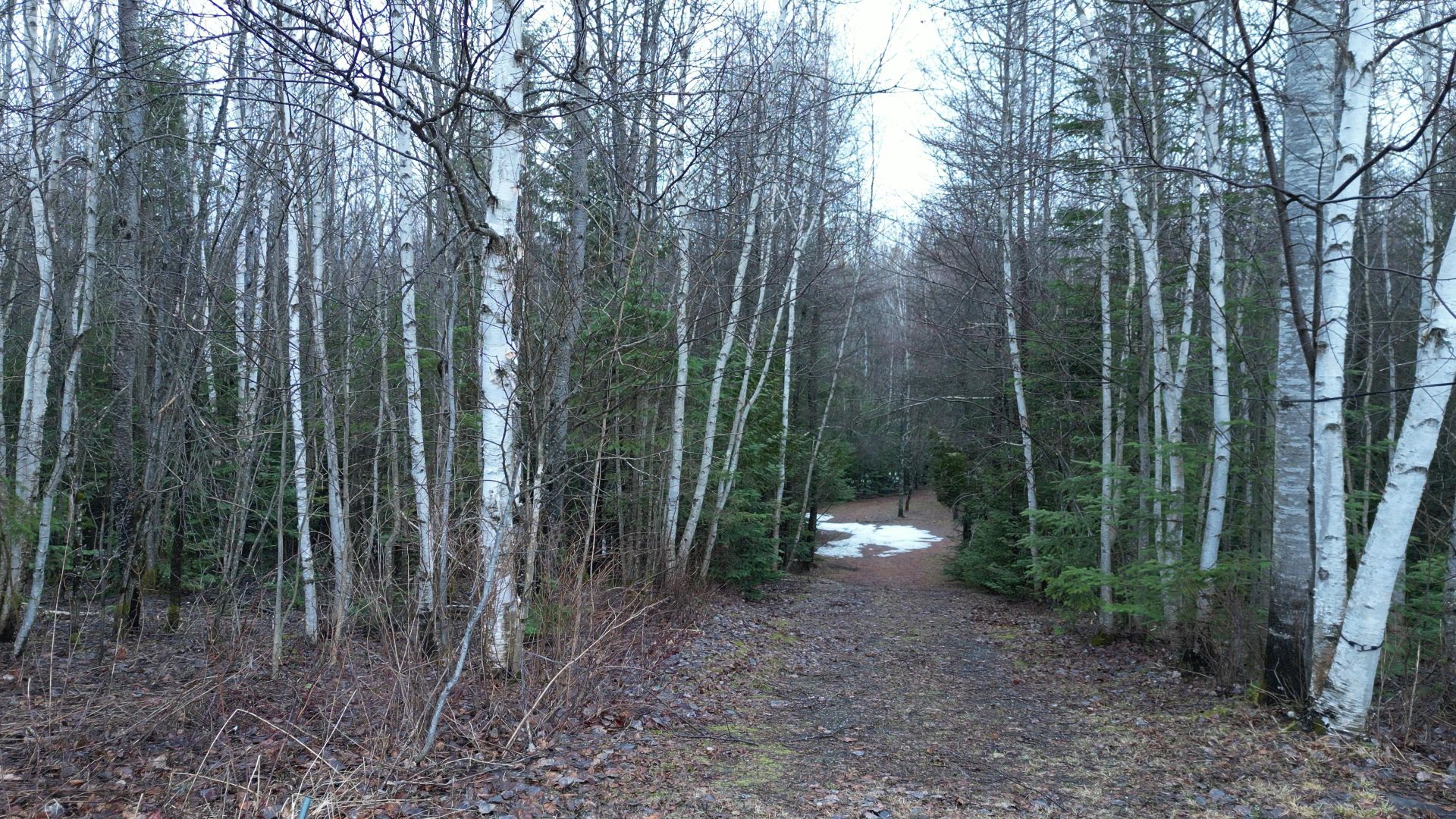 Residential in Barnston-Ouest 3
