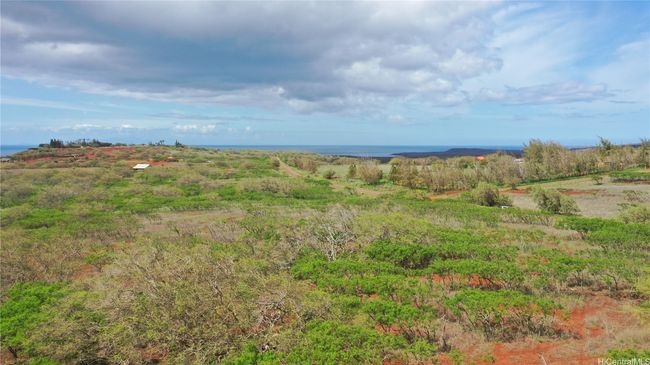LOT-38 - 000 Kalua Koi Rd, Home with 0 bedrooms, 0 bathrooms and null parking in Maunaloa HI | Image 15