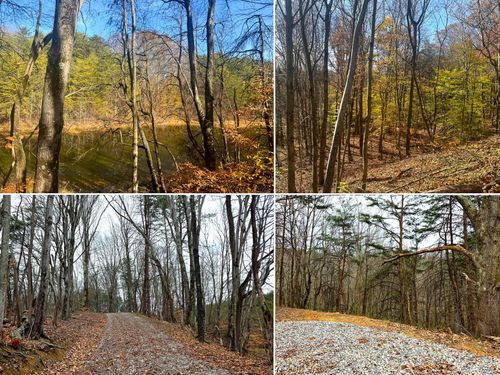 ponds-poplar-ridge-tract-830 Nibert Road, Gallipolis, OH, 45631 | Card Image