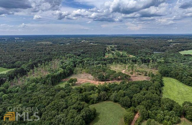 TRACT 2 Coldwater Creek Rd, Home with 0 bedrooms, 0 bathrooms and null parking in Dewy Rose GA | Image 20