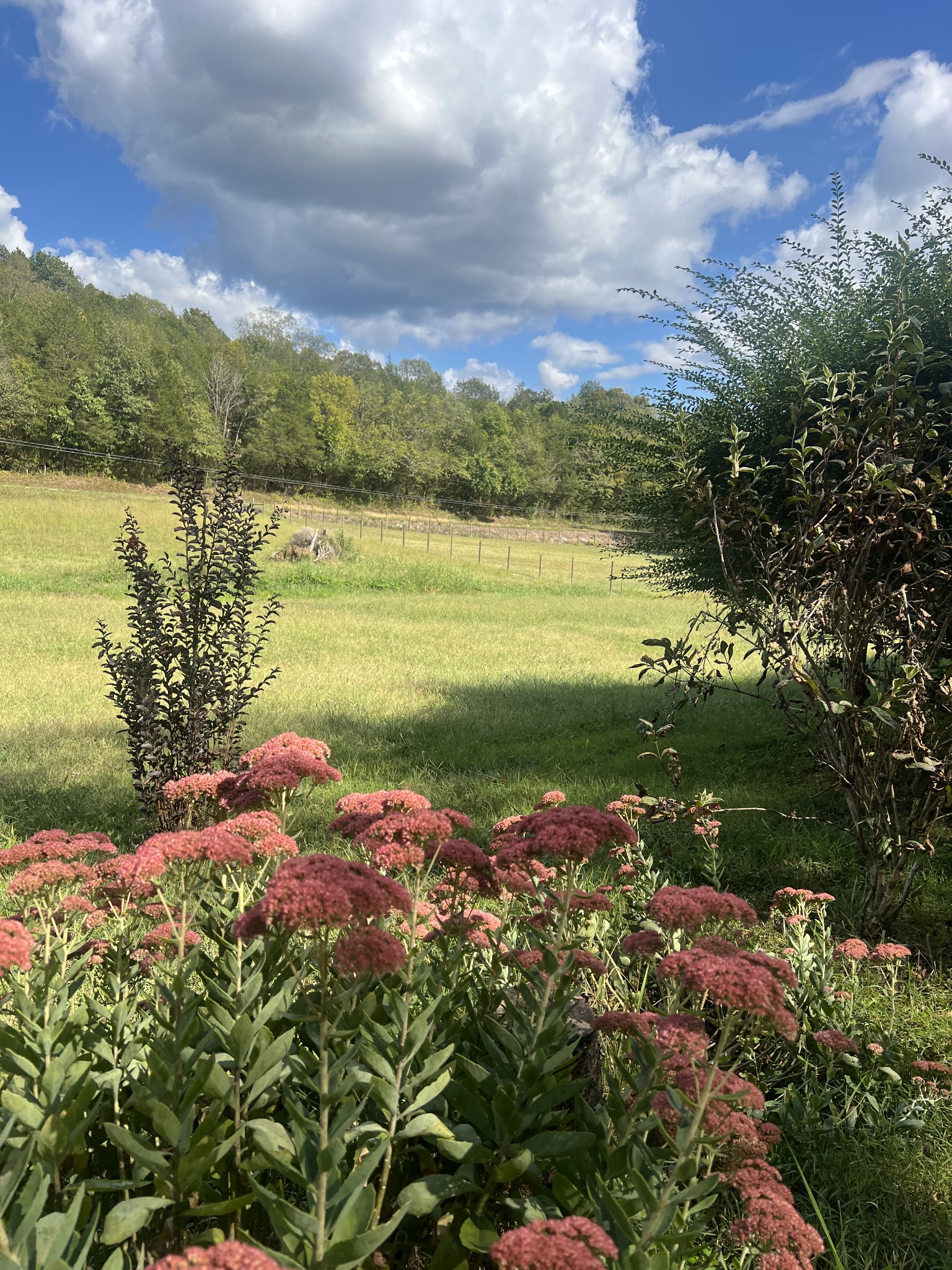 Trace Creek Rd, Whitleyville, TN 38588