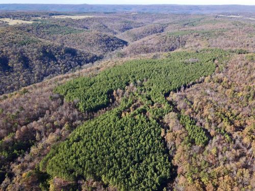 000 Highway 16 W, Clinton, AR, 72031 | Card Image