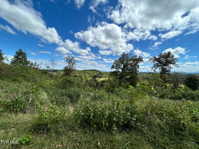1300 Fish Hatchery Rd, House other with 3 bedrooms, 2 bathrooms and null parking in Mohawk TN | Image 22