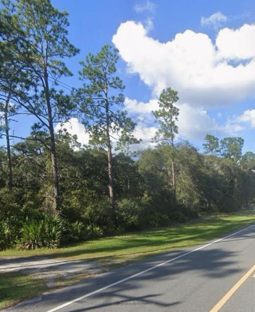 0 Ne Highway 315, Fort Mc Coy, FL, 32134 | Card Image