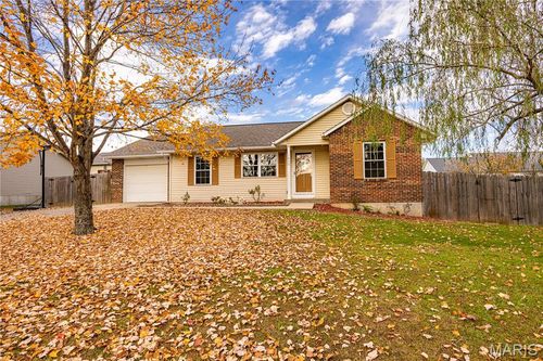 1450 Donna Lynn Dr, Jackson, MO, 63755-4152 | Card Image