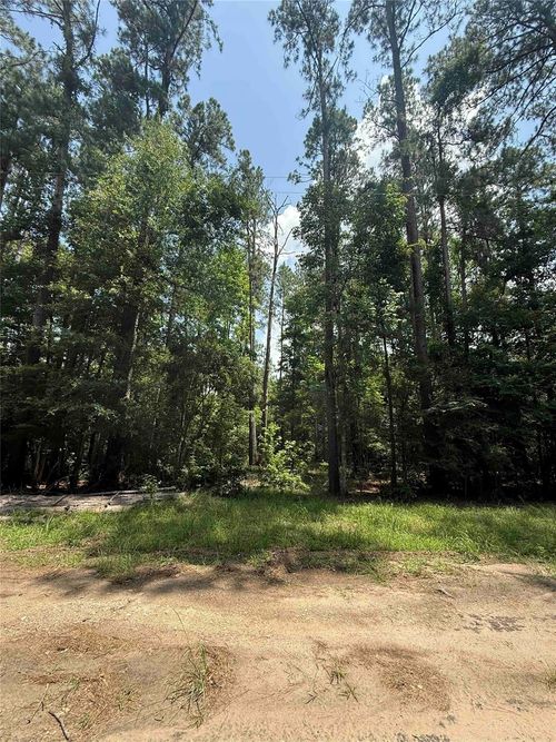 220 W Lake Shore Dr, Livingston, TX, 77351-2175 | Card Image