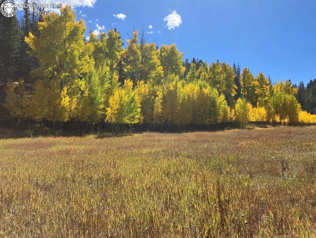 Land in Westcliffe 3