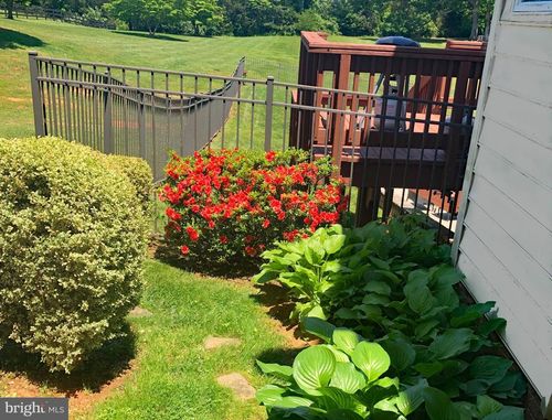6277 Griffinsburg Rd, BOSTON, VA, 22713-4517 | Card Image