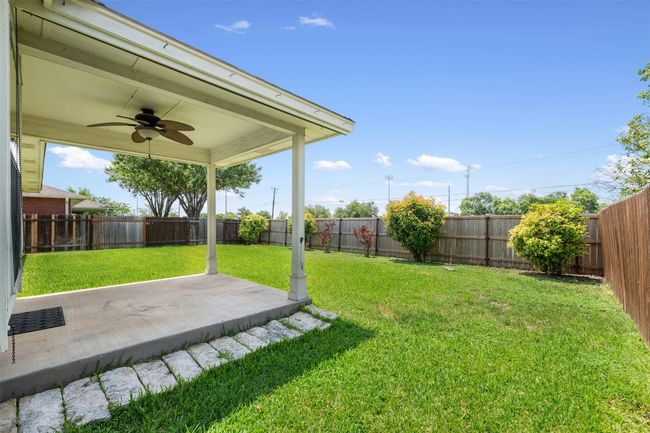 Back Yard | Image 24