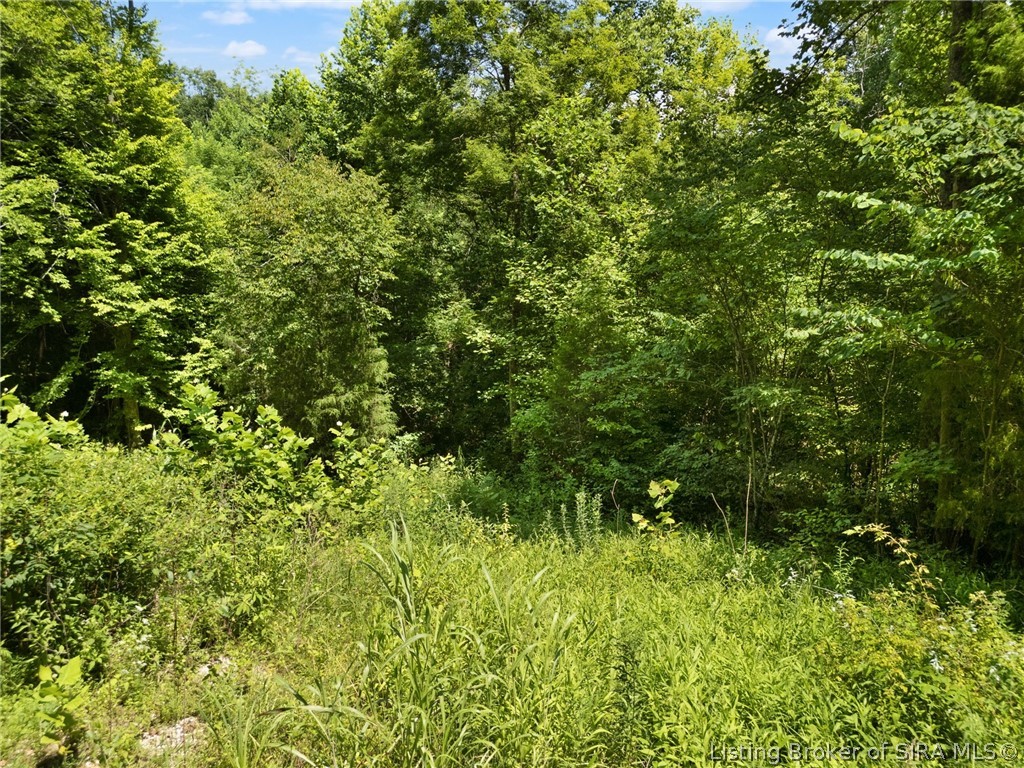 Land in West Baden 3