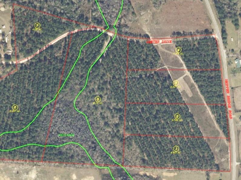 Land in Hahira