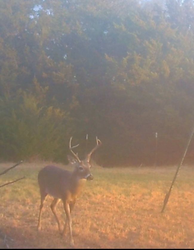 Game camera near creek | Image 39