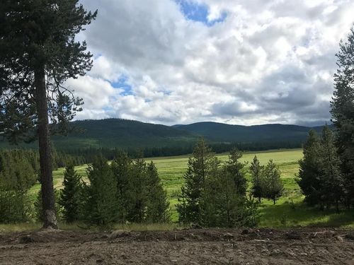 Tract 2 Mcgregors Meadow Road W, Marion, MT, 59925 | Card Image